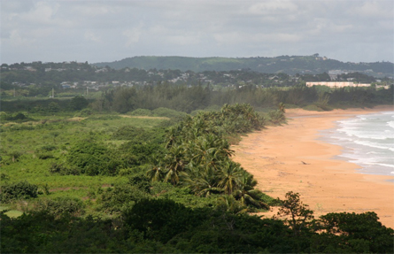 The San Miguel Natural Reserve was acquired with settlement funds to compensate the public for lost recreational use of the beaches impacted by the spill. The San Miguel Natural Reserve was acquired with settlement funds to compensate the public for lost recreational use of the beaches impacted by the spill.